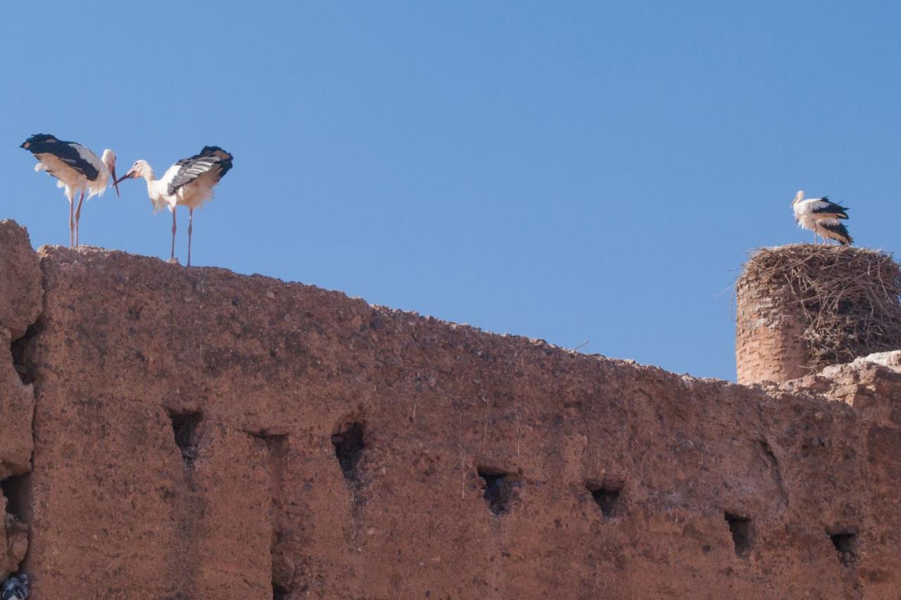 Riad Of The Storks - Exclusive Use For Up To 17 Persons Марракеш Екстер'єр фото